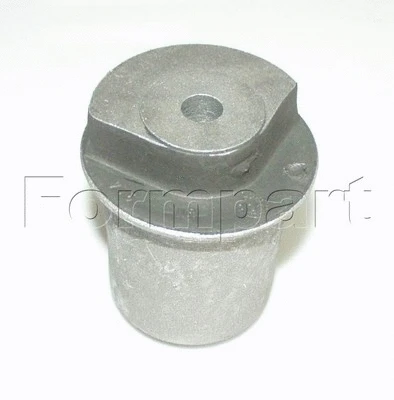 Bushing, axle beam (20407080/S)