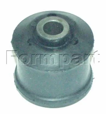 Mounting, control/trailing arm (1100018)