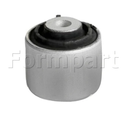 Mounting, control/trailing arm (1100100)