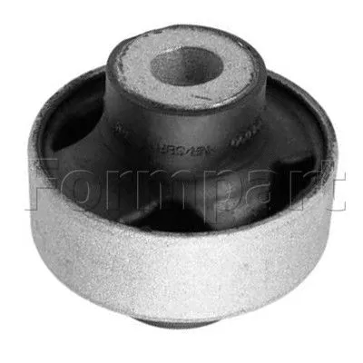 Mounting, control/trailing arm (1000020)