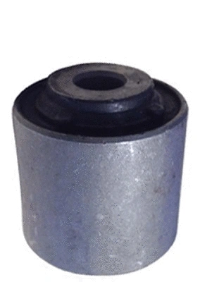 Mounting, control/trailing arm (3800018)