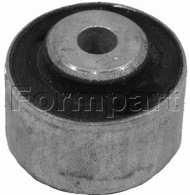 Mounting, control/trailing arm (1100028)