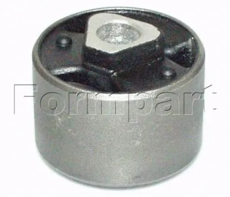 Mounting, control/trailing arm (1200005)