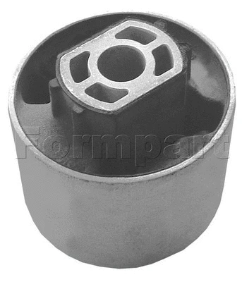 Bushing, axle beam (29407170/S)