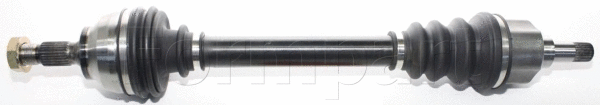 Drive Shaft (21380018/S)