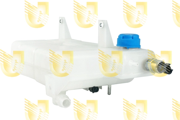 Expansion Tank, coolant (220560)