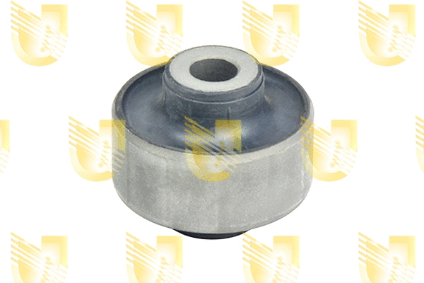 Mounting, control/trailing arm (391984)
