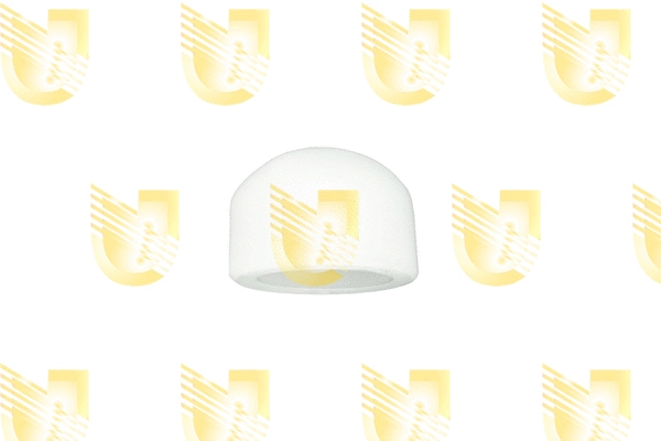 Thrust Piece, clutch pressure plate (161704)