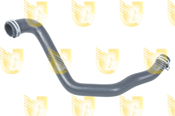 Radiator Hose (P2142)