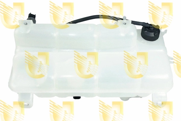 Expansion Tank, coolant (220558)