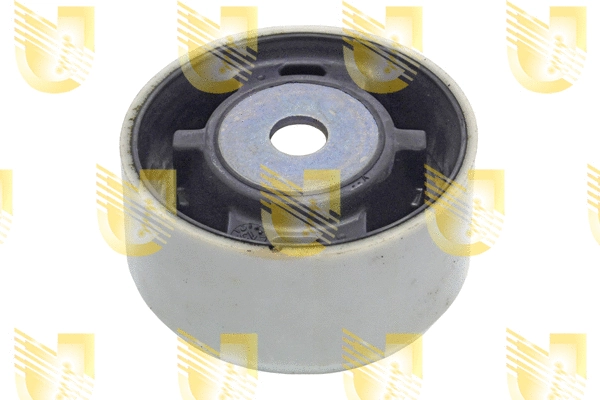 Mounting, differential (397779)