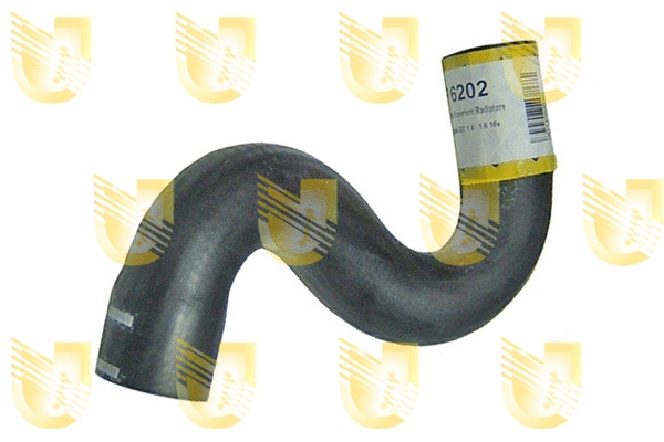 Radiator Hose (P6202)