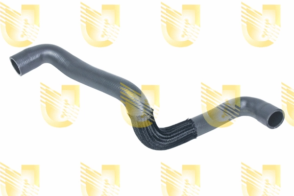 Radiator Hose (F8310)