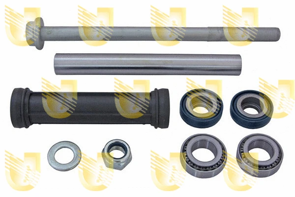 Repair Kit, control/trailing arm (391248K)