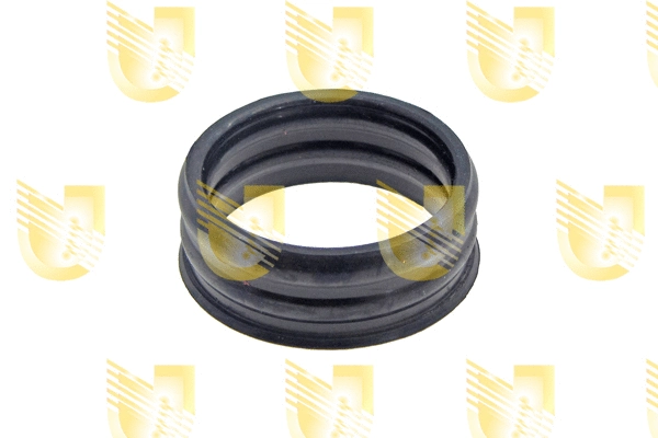 Gasket, coolant pipe (216901)