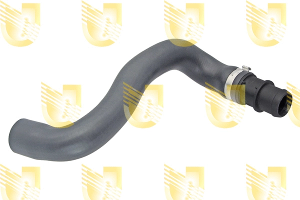 Radiator Hose (B2432)