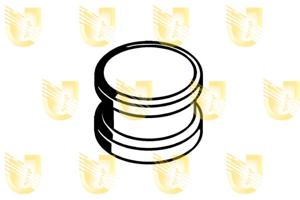 Bush, shift rod (160008)