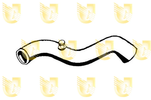 Radiator Hose (R4257)