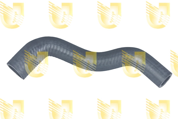 Radiator Hose (M3925)