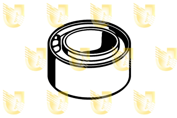 Bushing, axle beam (391709)