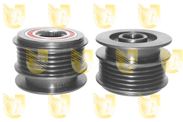 Alternator Freewheel Clutch (431851)