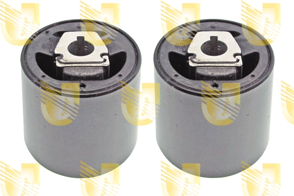 Repair Kit, control/trailing arm (391394K)