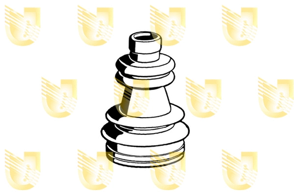 Bellow, drive shaft (310074A)