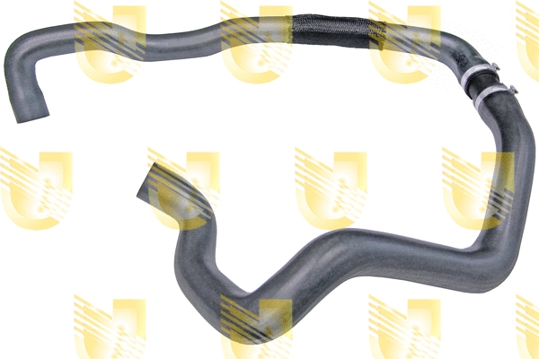 Radiator Hose (B2434)