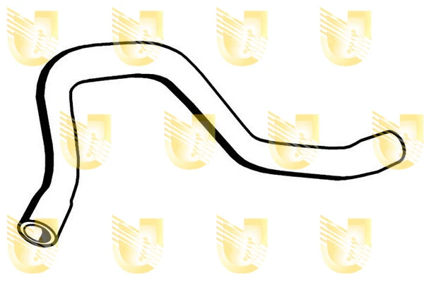 Radiator Hose (F8974)