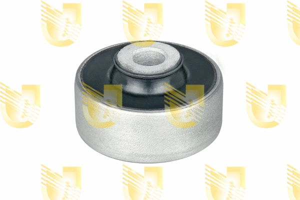 Mounting, control/trailing arm (391891R)