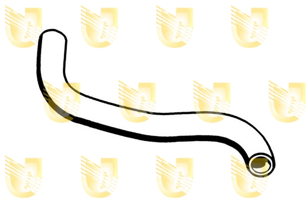 Radiator Hose (W8266)