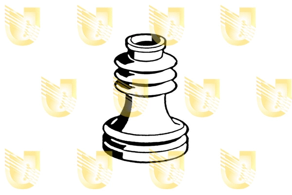 Bellow, drive shaft (310088)