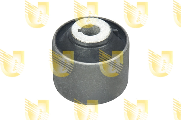 Mounting, control/trailing arm (392887)