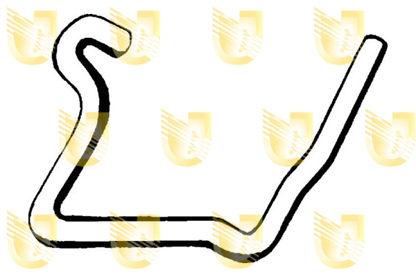 Radiator Hose (C4134)