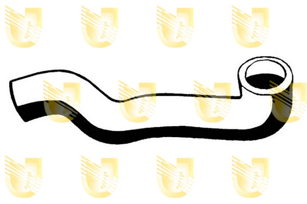 Radiator Hose (B3872)