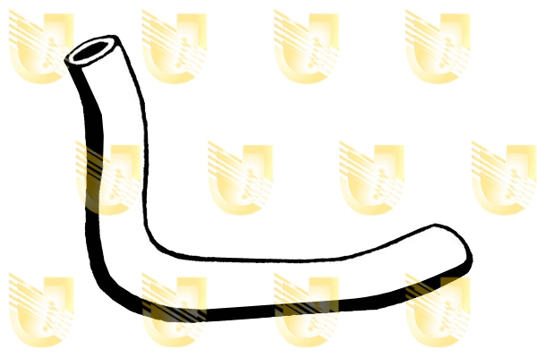 Radiator Hose (F4245)