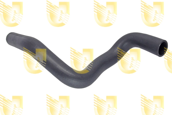 Radiator Hose (P2510)