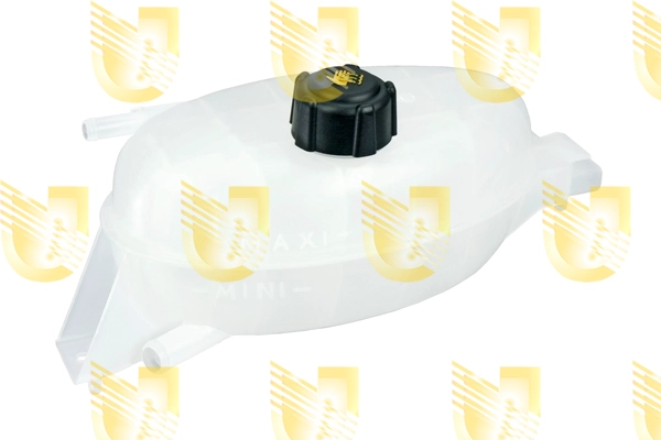 Expansion Tank, coolant (221584)