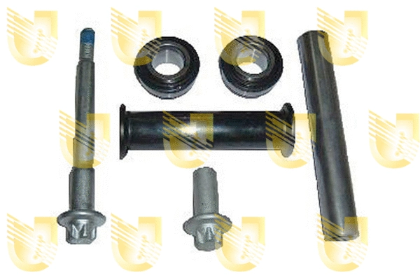 Repair Kit, control/trailing arm (391692K)