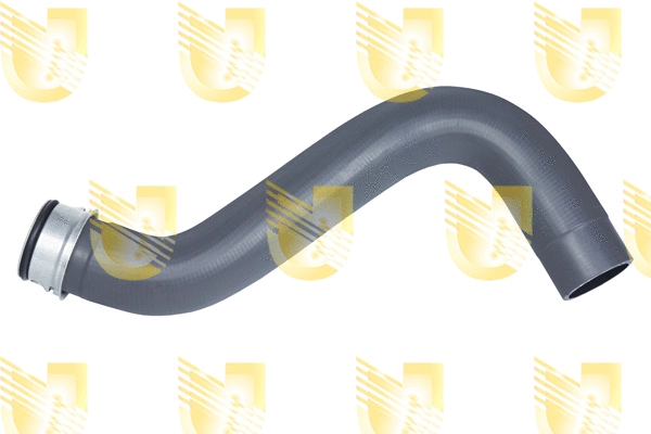 Radiator Hose (M9650)