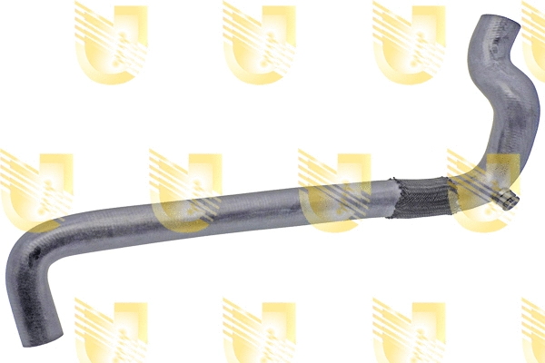 Radiator Hose (B2402)