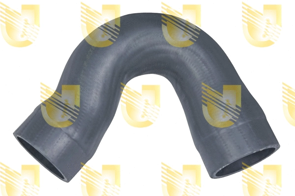 Charge Air Hose (W9653)
