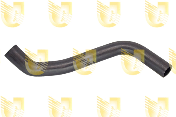 Radiator Hose (CD2120)