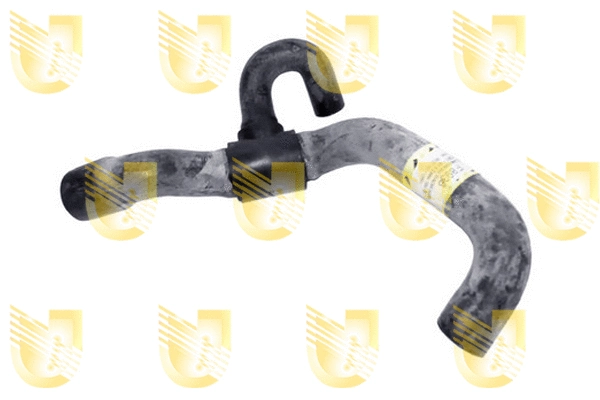 Radiator Hose (F8936)