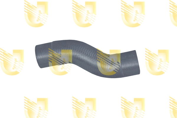 Radiator Hose (B2450)
