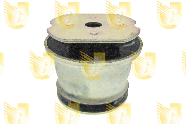 Bushing, axle beam (390094)