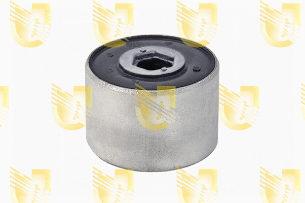 Mounting, control/trailing arm (392824)