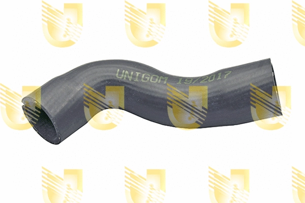 Radiator Hose (O8570)