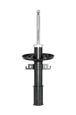 Shock Absorber (C28152)