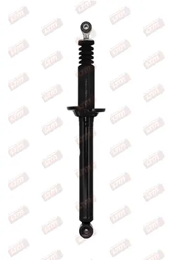 Shock Absorber (C06093)